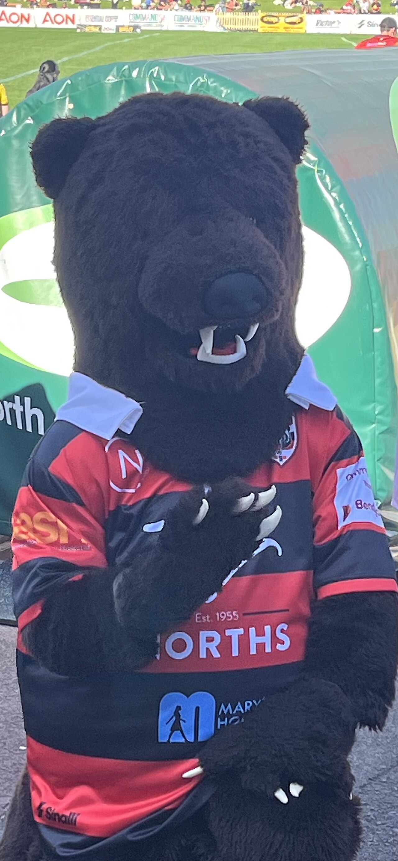 Barney Bear